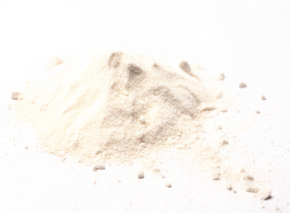 Protein