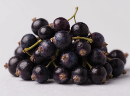 Blackcurrant